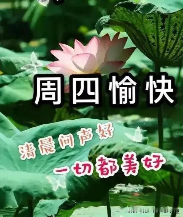 下午好友！周四愉快！好运连连！[赞][赞][赞][福][福][福][送自己一朵花