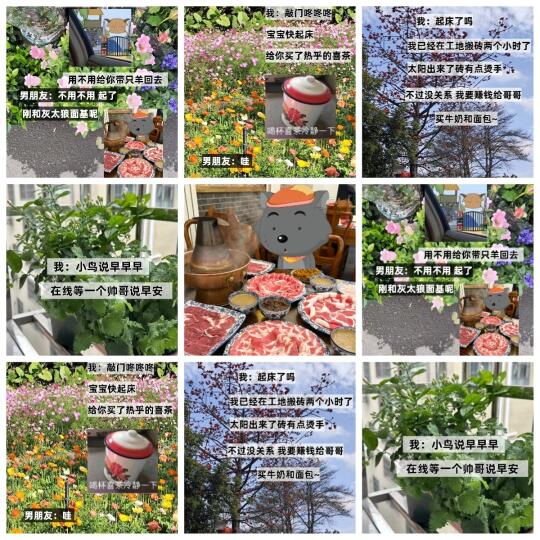 和男朋友聊天之《早安文学》