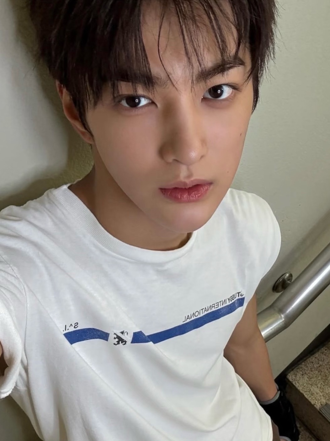 韩维辰和安乾镐互相安利中 