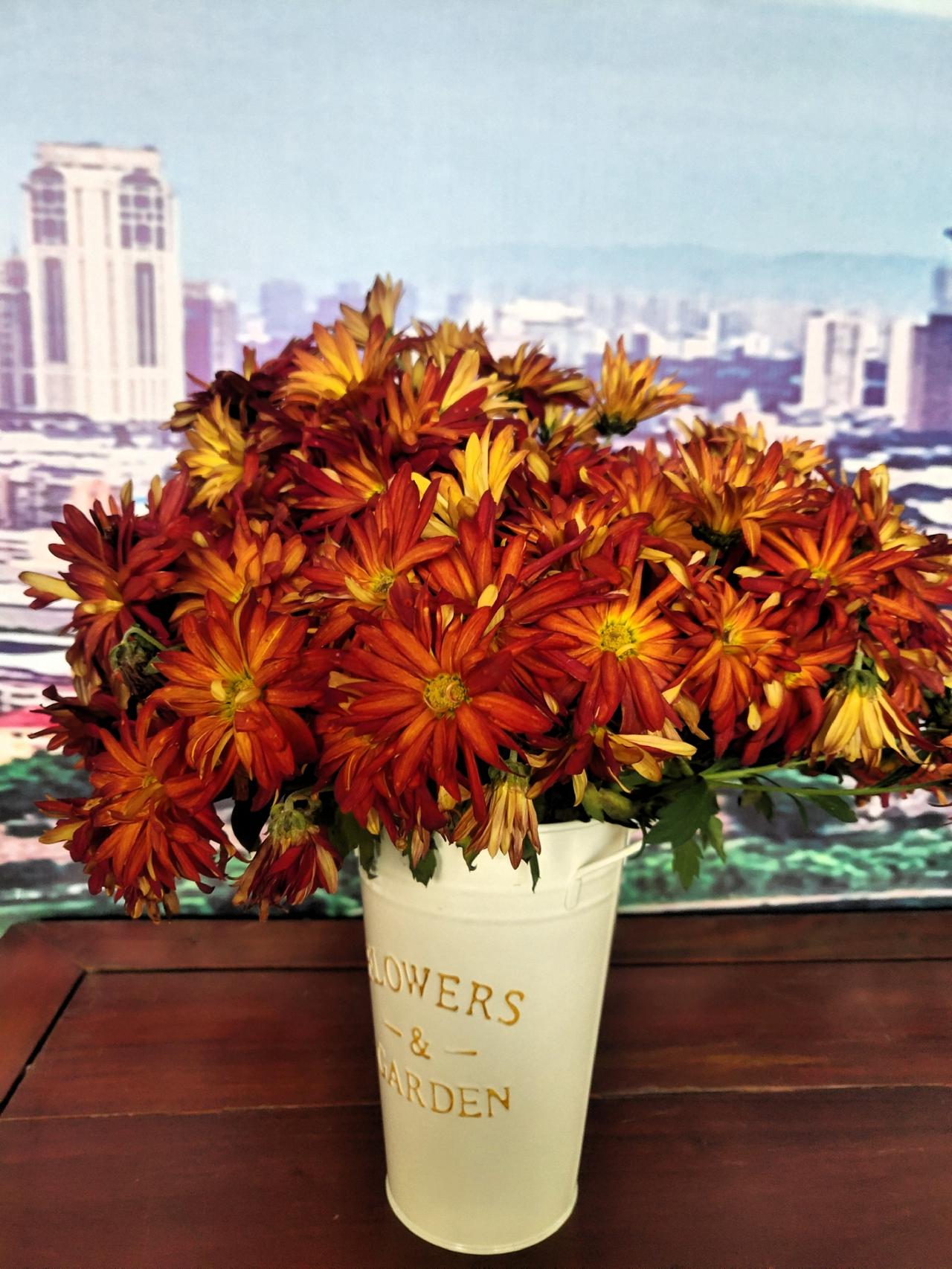 接受别人的善意，也是一种成全。在付出和接受之间，有一种和谐，叫两全其美。

我越