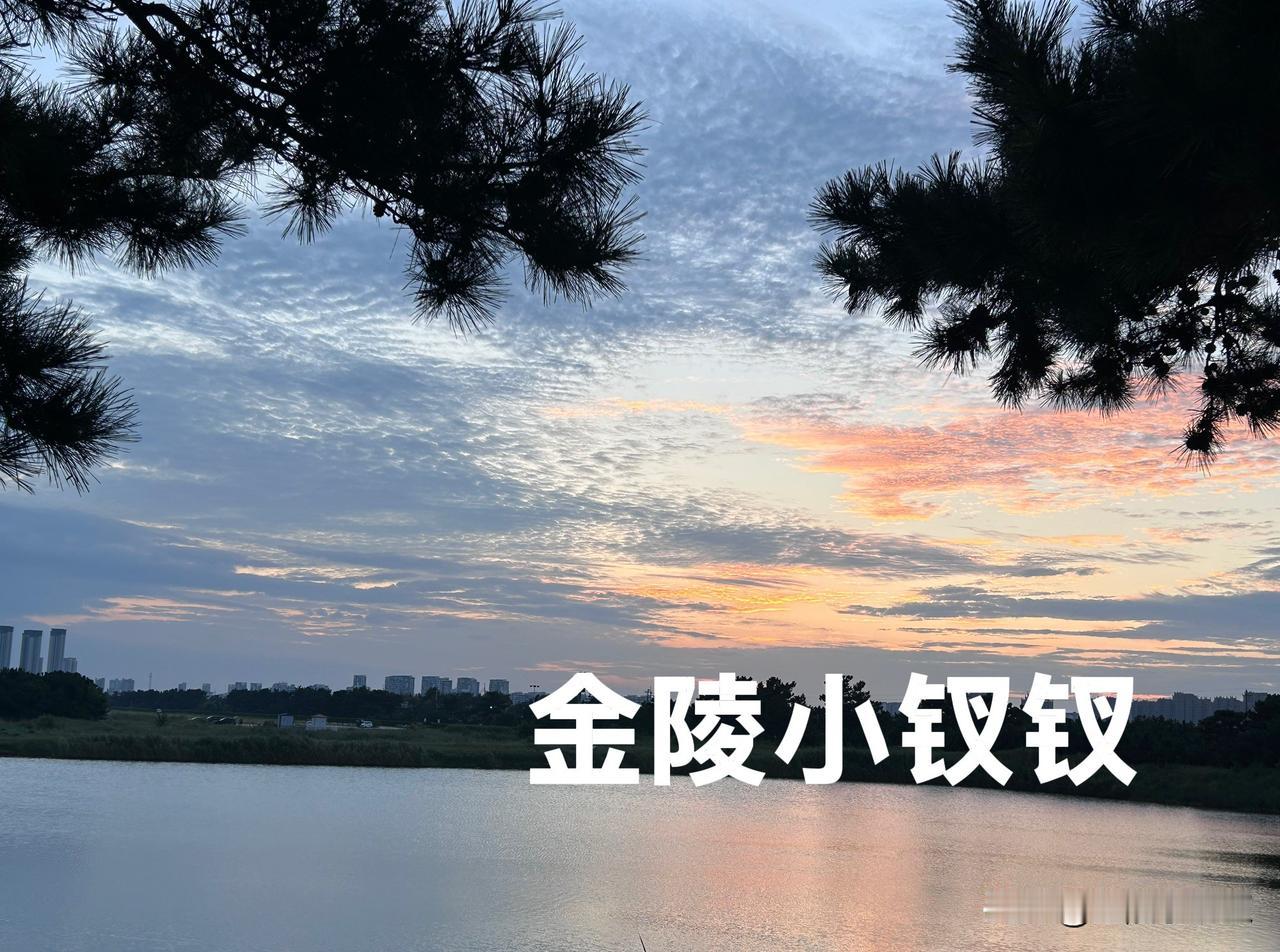 藏在细节里的高尚

傍晚时分，我从海边回来，在一个海水池塘里看到红色的夕阳，小区