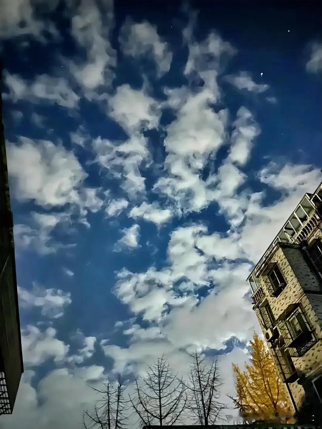 天冷时，我的问候是暖的；整个社会功利化时，我的祝福是真的。天气多变，莫跟老天斗气