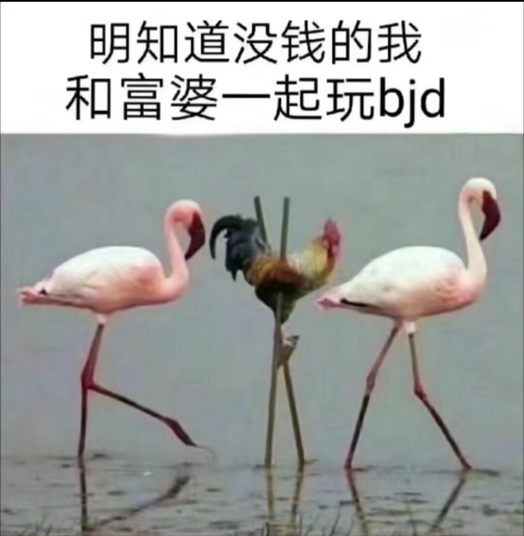 4928【】4884高柱自己翻到了，既然这样求点更多bjd笑话图春日放个疯 ​​