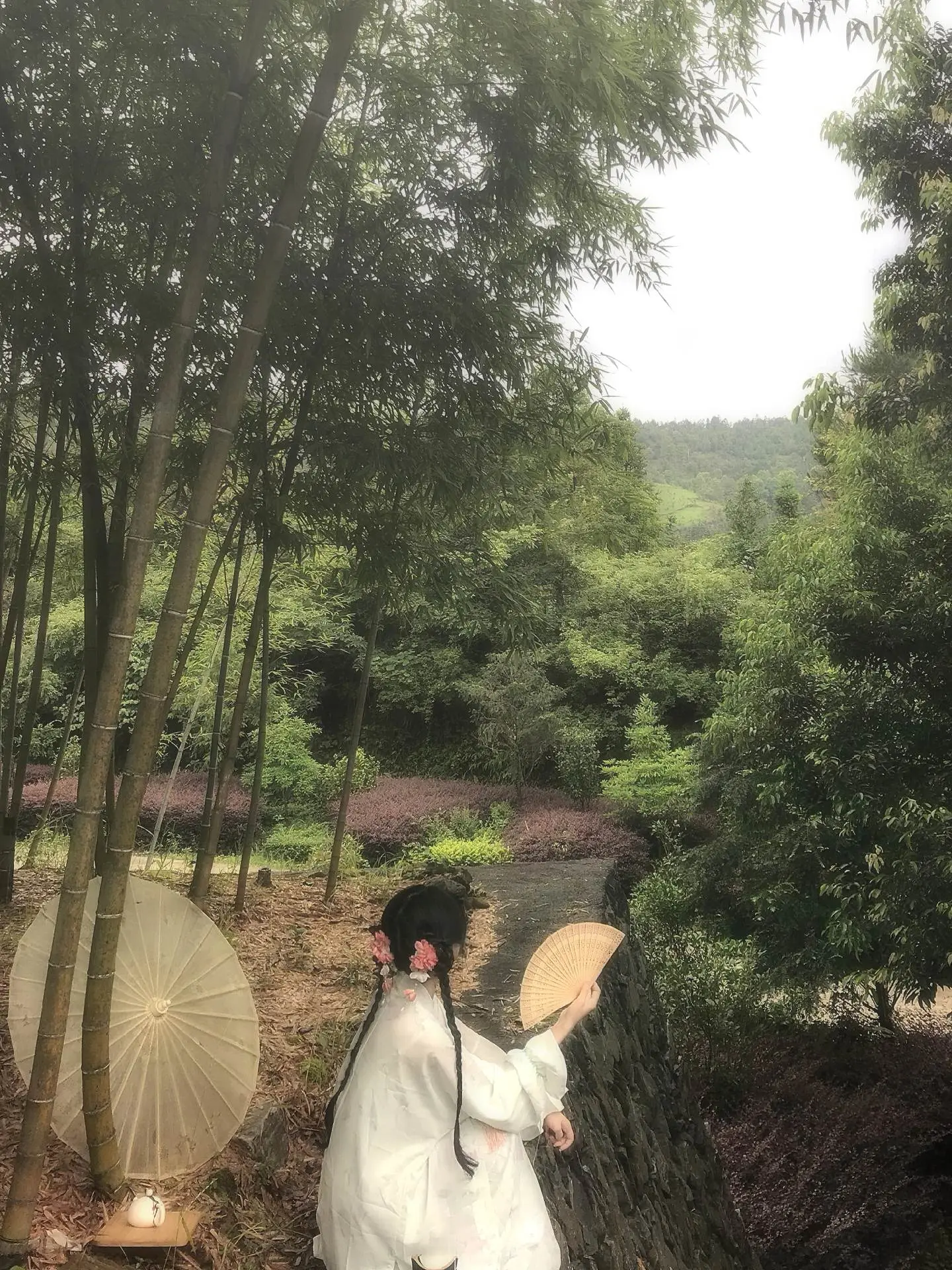 斑竹枝，斑竹枝，泪痕点点寄相思