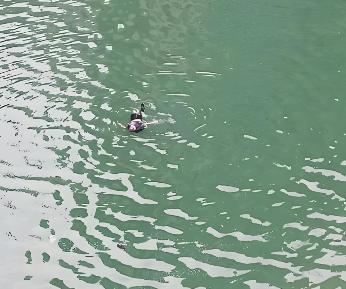 这就是不自爱的下场！湖北咸丰，一25岁男子纠缠42岁女子，死缠硬磨和女子发生不雅