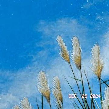 前阵子心情坏到了极点，做什么都提不起劲来。
总是想着把自己关在屋子里，然而越是这