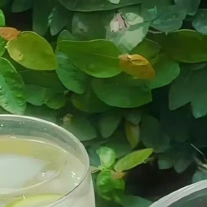 每日一善🍀阳光信用 每日‬一善      幸福是什么，幸福就是，人到中年有一个