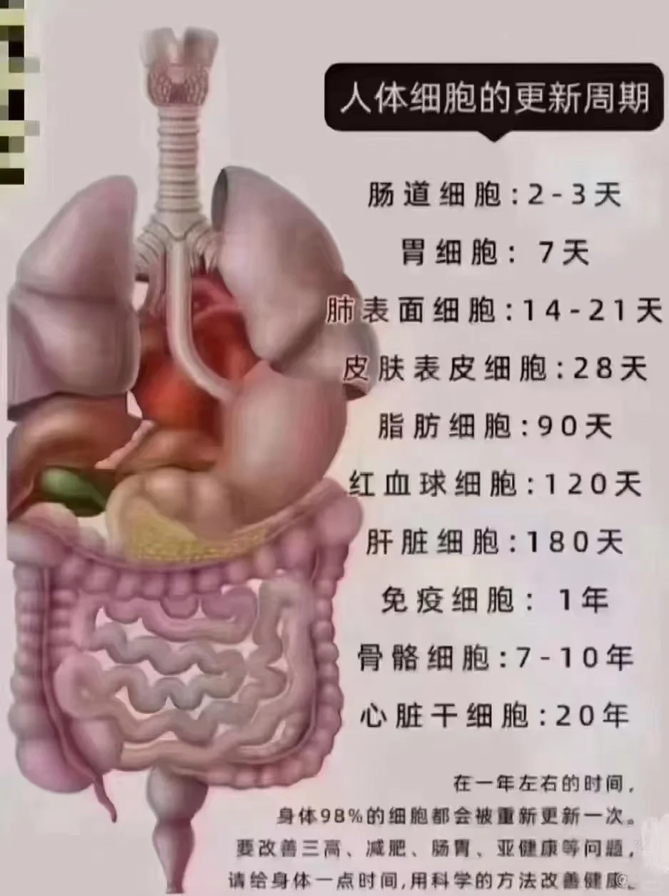 ‭‮么什为‬‬拍打‭‮要需‬‬坚持