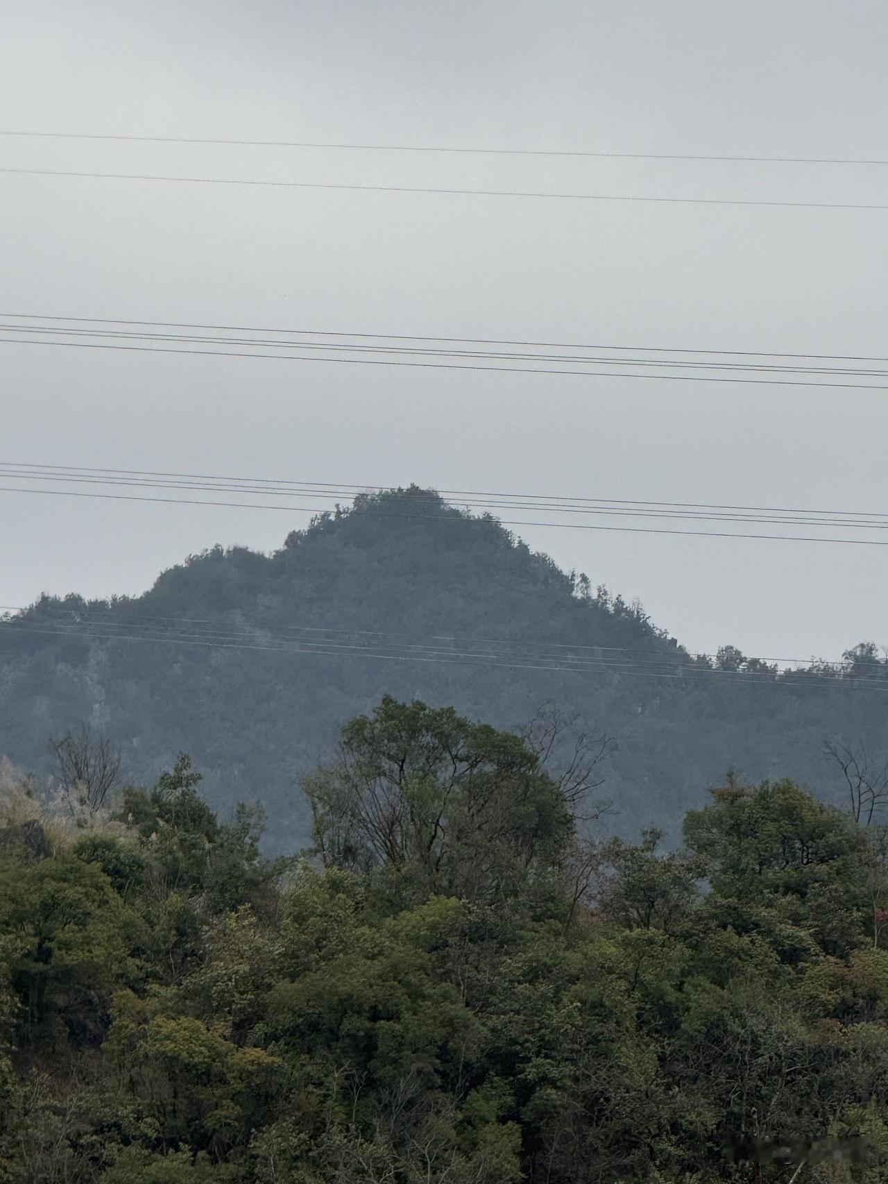老家农村家门口就是一个原始树林山坡，二十几年前，烧柴火人家还占多数。但是，听老人