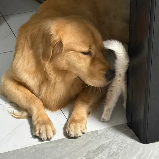 妈呀！太上头了！