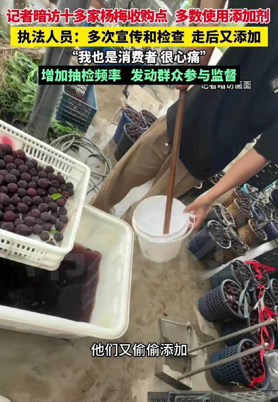 杨梅还能吃吗？其实现在是最适合吃杨梅的，因为全网在盯着，而且便宜，没人顶风作案！