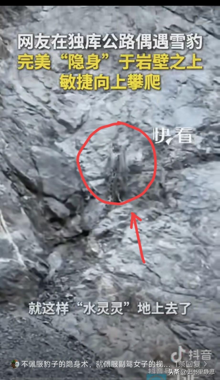 新疆，一对男女驾车行驶在独库公路上，副驾女子不经意抬头看了一眼岩壁，顿时大惊：“