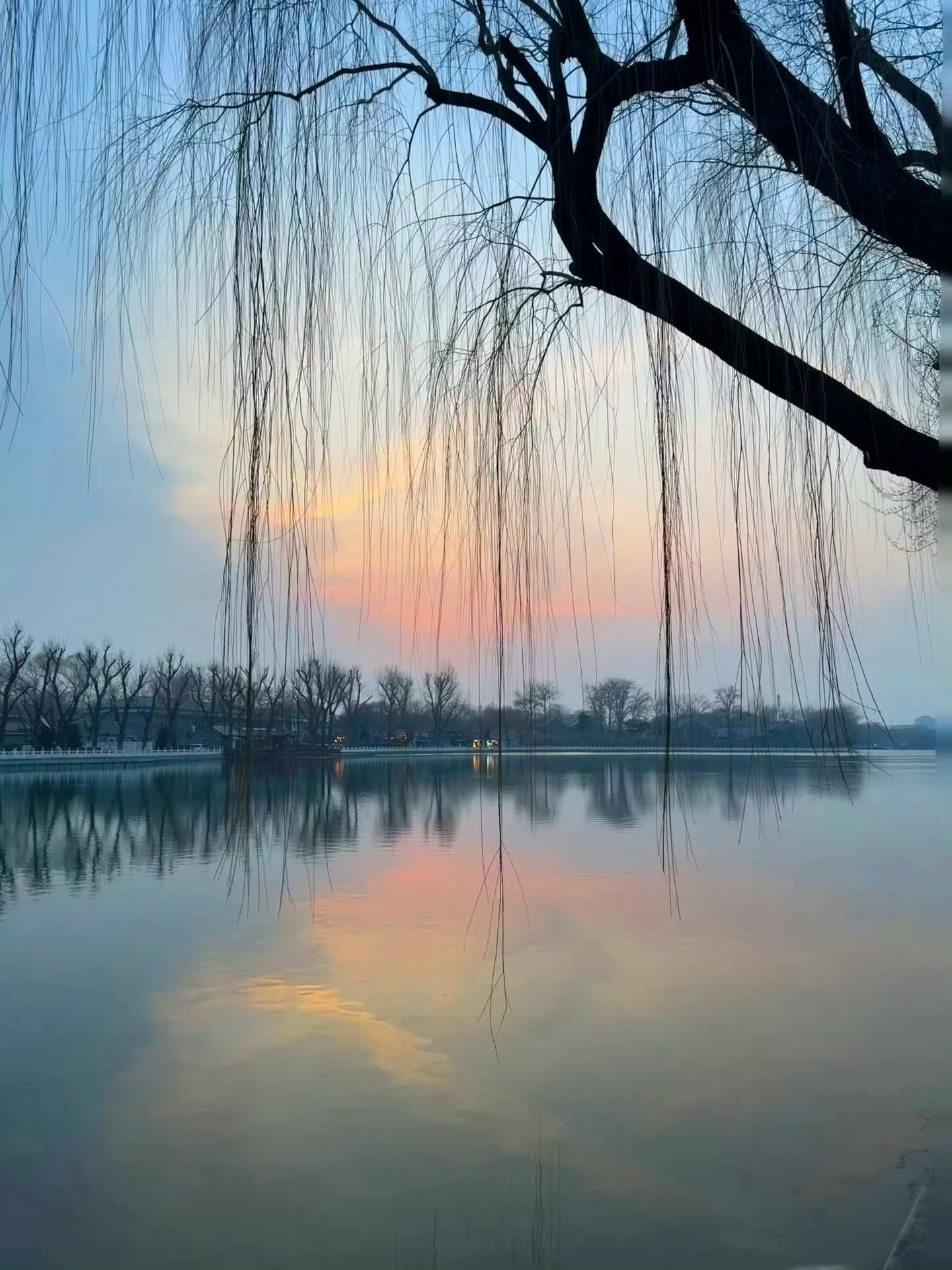 梓渝24岁生日加载中畅所渝言 哈喽，拍的风景都很漂亮，相册里还有好看的照片吗，发