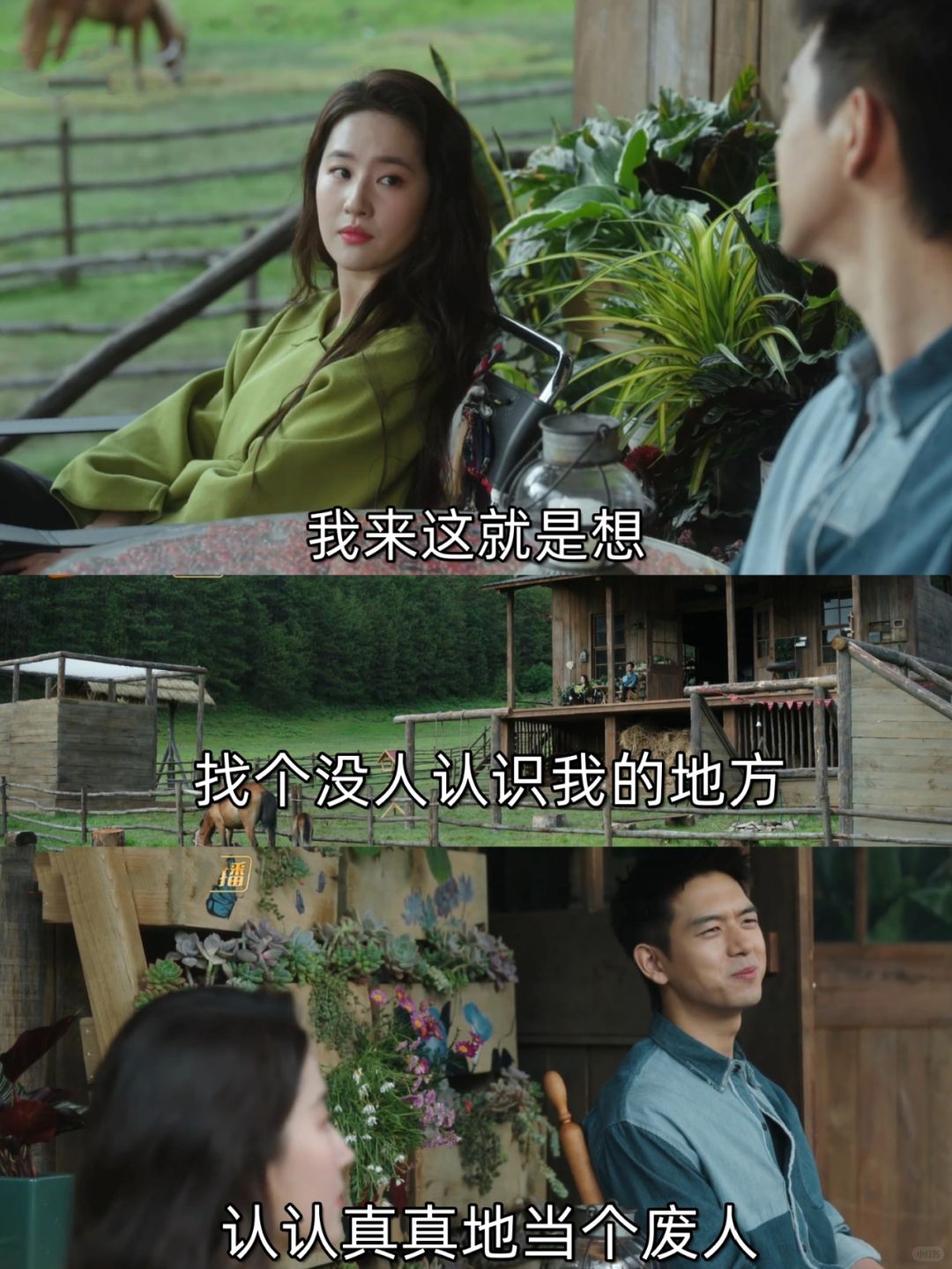 今年无数次被她治愈❗