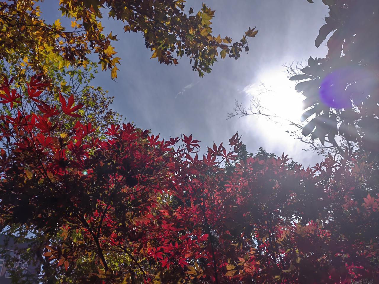 这两天温度有些高，感觉上更高点。因为节气到了，降温是必然的，根据“热”的情况，估