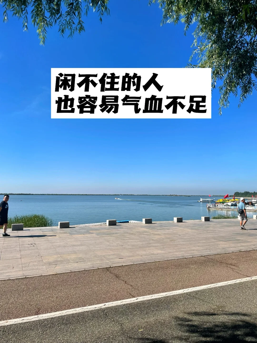 闲不住的人，容易气血不足.