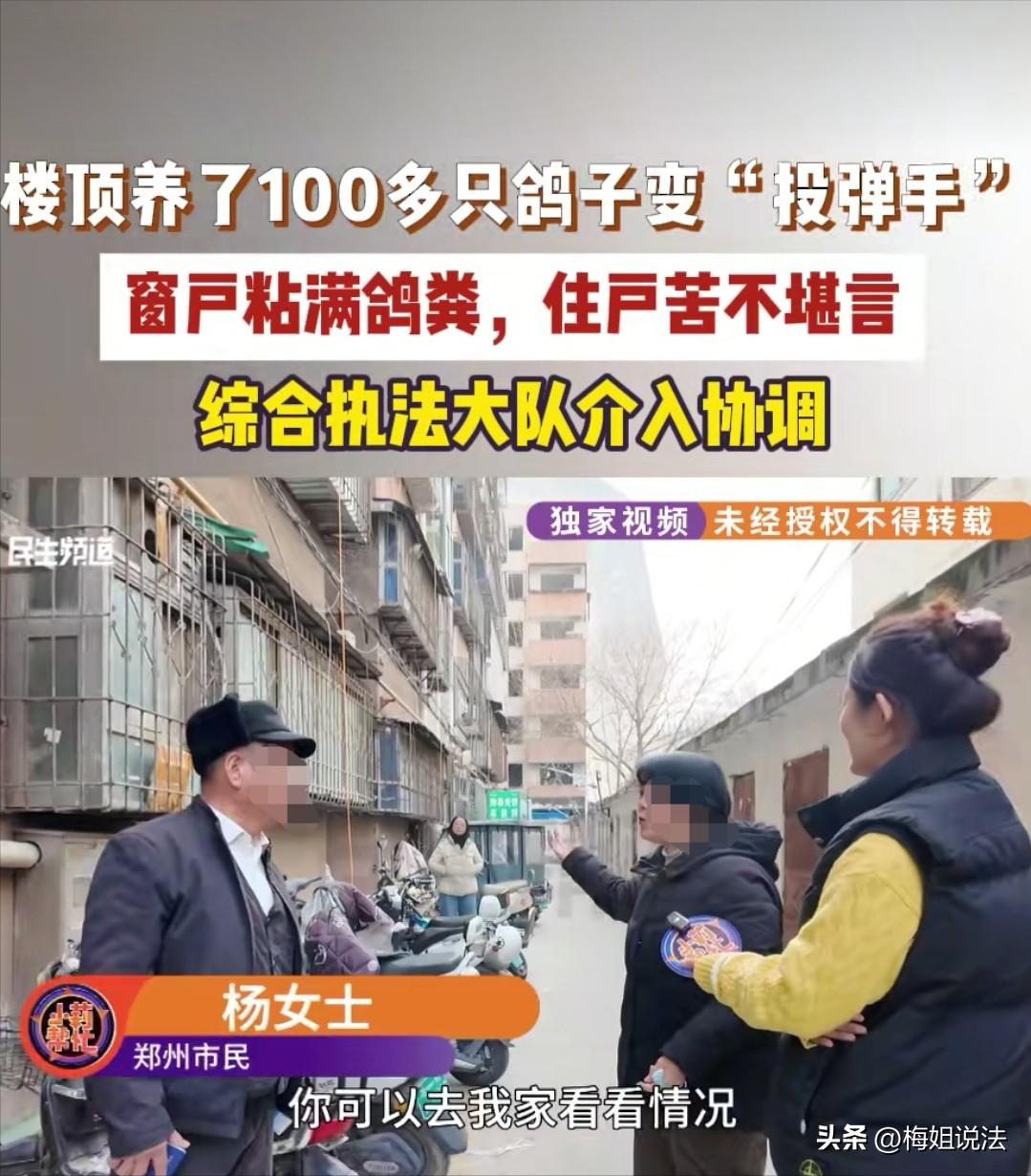 河南郑州，杨女士刚住进新家，就发现窗户玻璃上糊满鸽子粪，晒衣服不敢开窗，臭气熏天