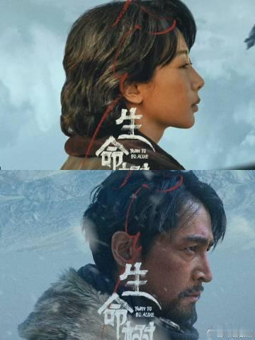 守候杨紫今晚的生命树杨紫为《生命树》的付出太值得了！血氧跌至 70% 仍坚持拍摄