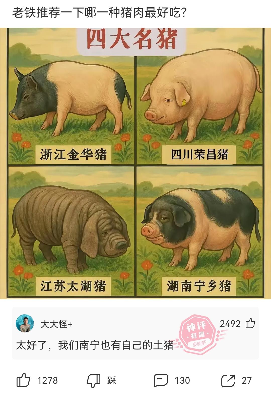 哪里的猪肉好吃？？？