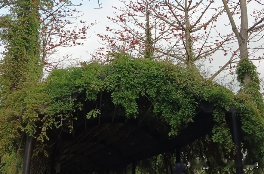 一个医生不愿意告诉患者的事实:
看病就医，一开始就想着省钱的人，最后往往是花钱最