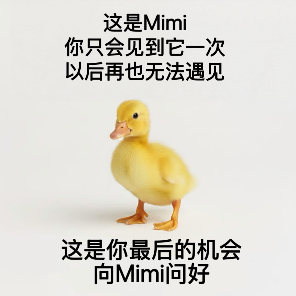你好Mimi👋meme