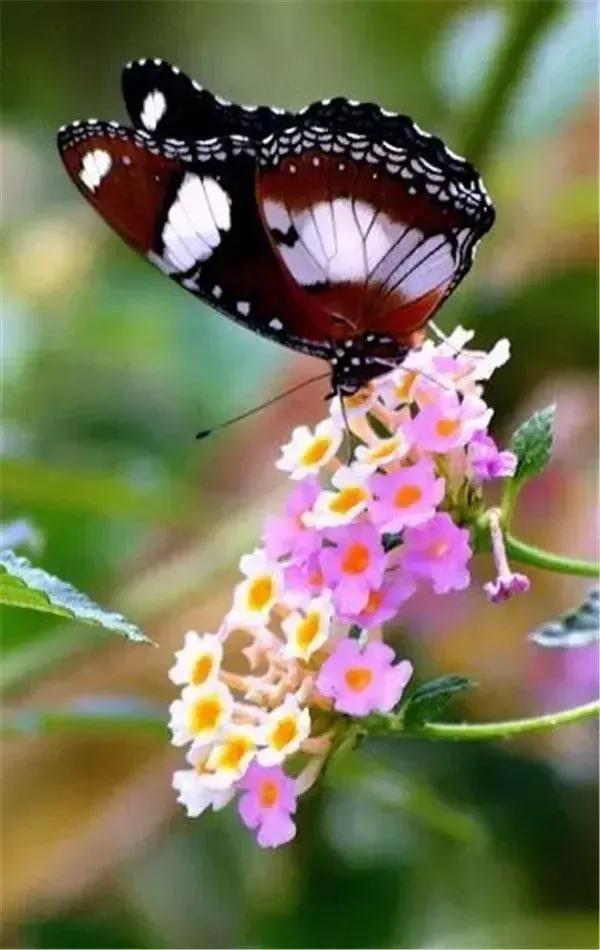 周二情绪杀跌加剧，何时能够抄底？
周二上午，大A高开后便迅速陷入杀跌。除了油气油