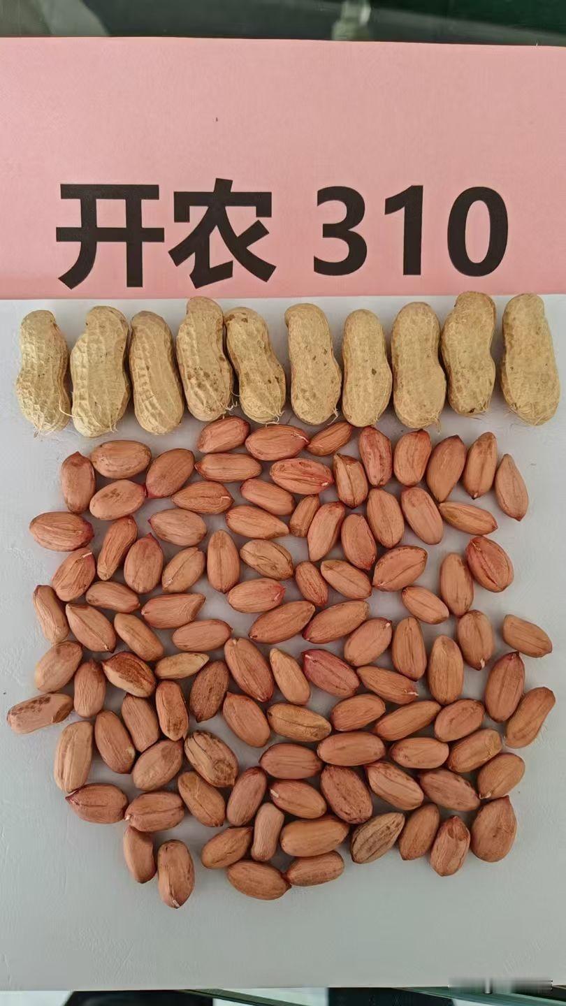 鲁花8 通货米收4.0左右，7个筛上精米4.55左右，8个筛上精米4.6左右，7