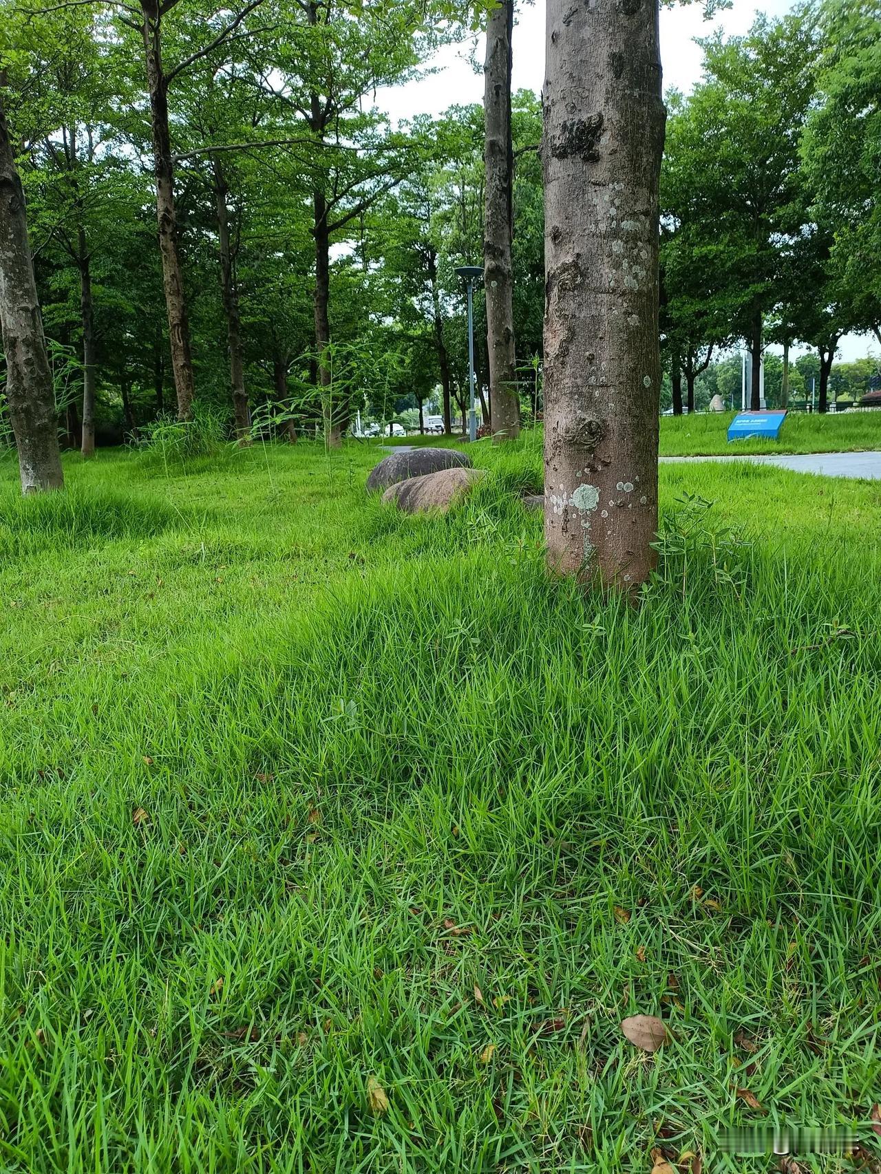 #出门去踏秋#