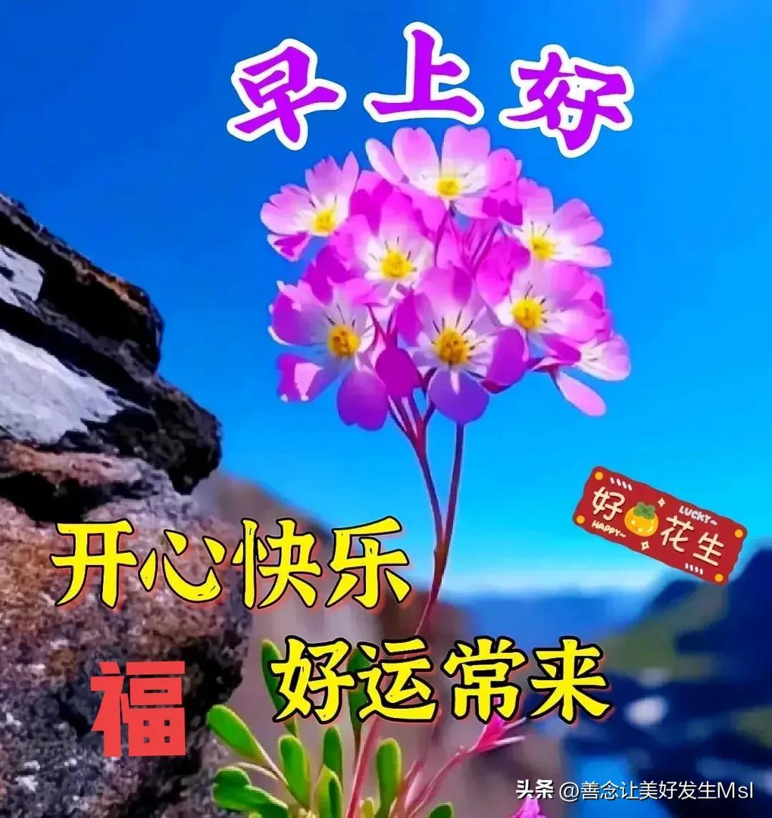 好运藏在友善中 
坦诚待人路路通 
送人玫瑰手留香 
行善积德伴吉祥
[玫瑰][