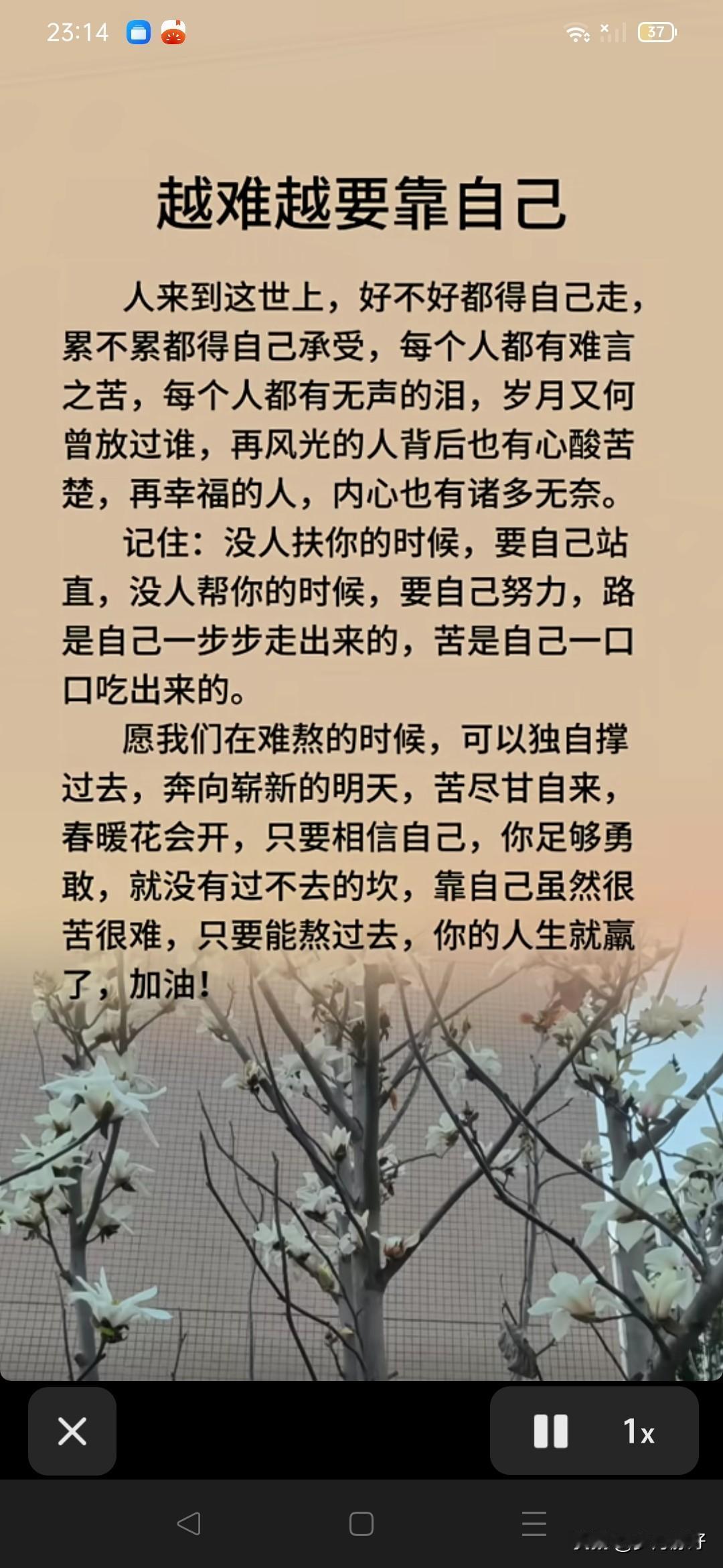 人这一生，好不好都得自己走，累不累都得自己承受。每个人都有难言之苦，每个人都有无