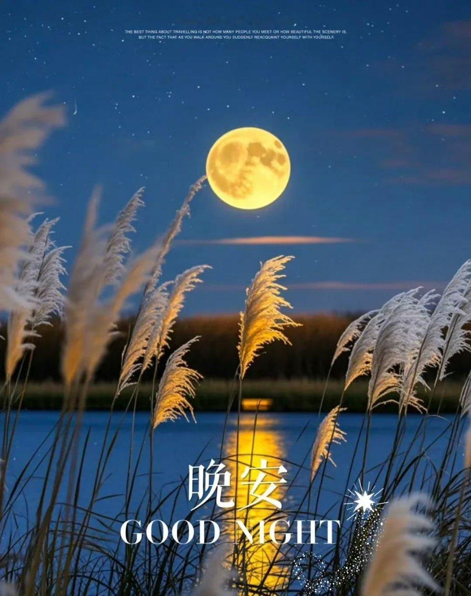 又是一个失眠的夜晚，身体明明很疲惫，大脑却格外清醒，那些压在心底的委屈、焦虑和茫