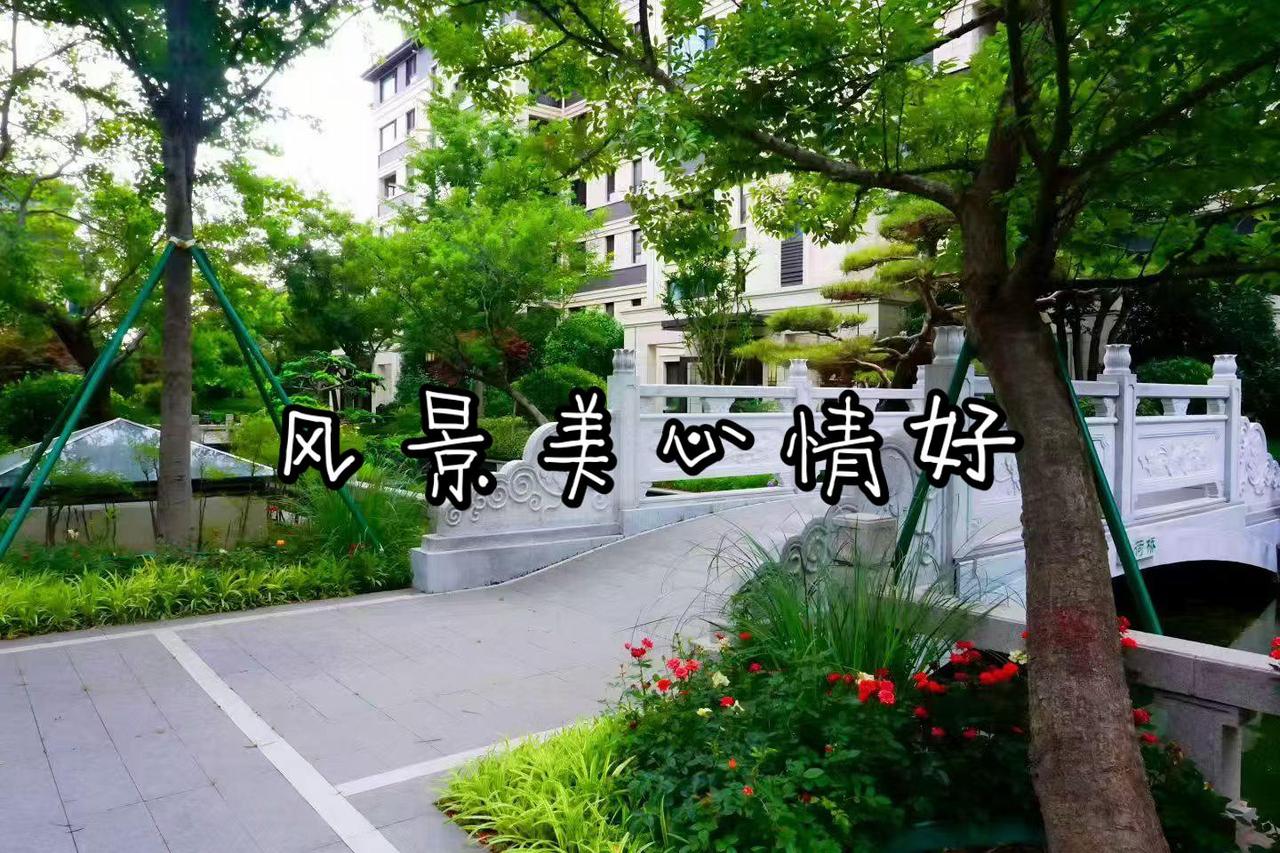 🌸💐🌺 每天开心快乐，用心生活每一天🌸💐🌺