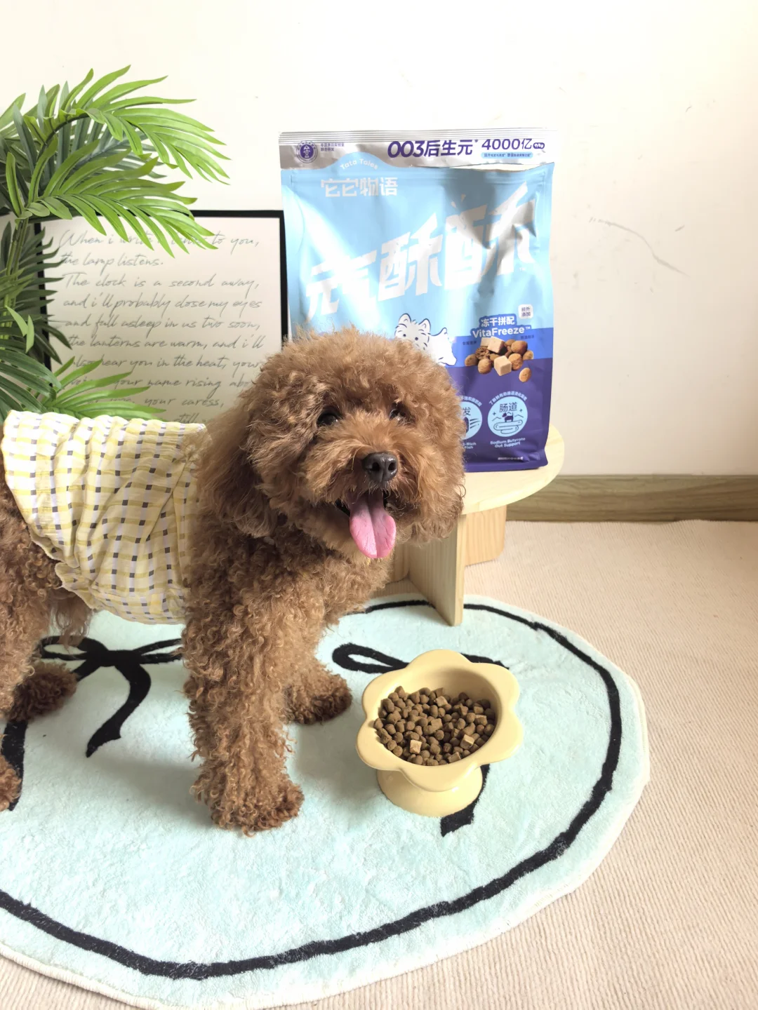 我家挑食狗的续命狗粮找到了��