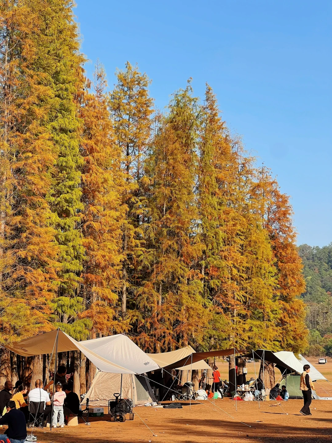 南昌🍂闯入“夏先生”与“秋小姐”的同框画景