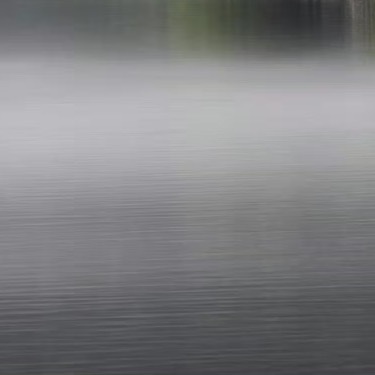 0000种植 | 微公益 苦瓜的种植方法如下：一、选种与催芽：选择饱满、无病虫害