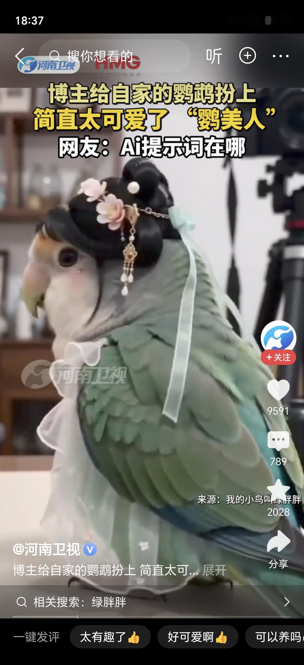 太可爱了！一只小太阳鹦鹉，竟被打扮成了“鹦美人”！主人给它穿上定制汉服，戴上小发