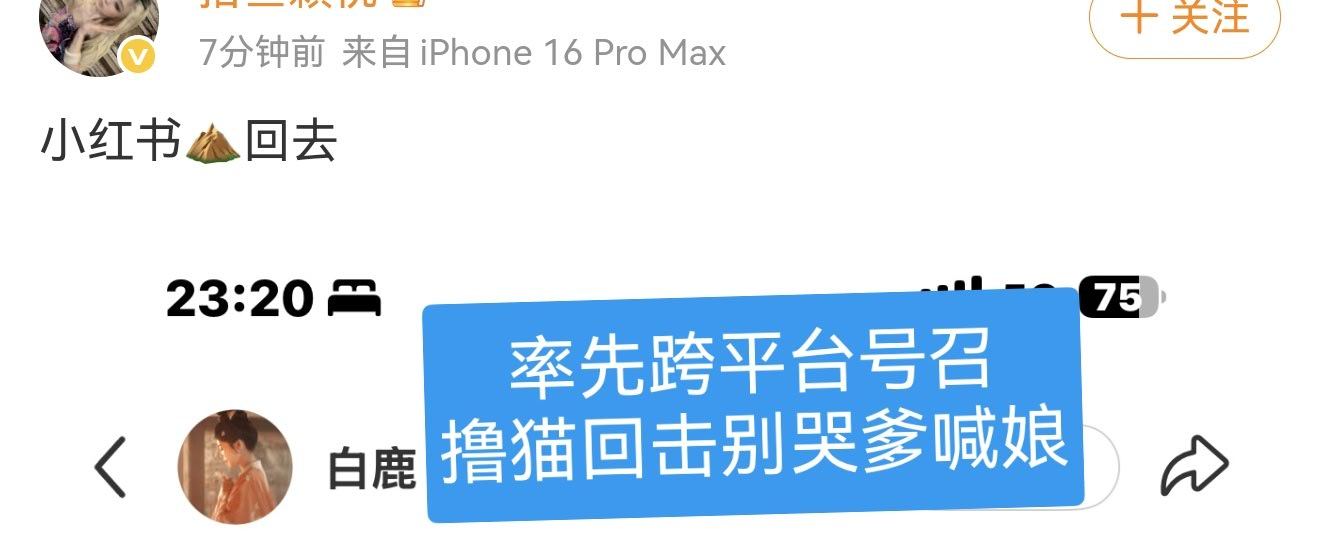 我都不知道秤砣脑子朝哪里长的 
