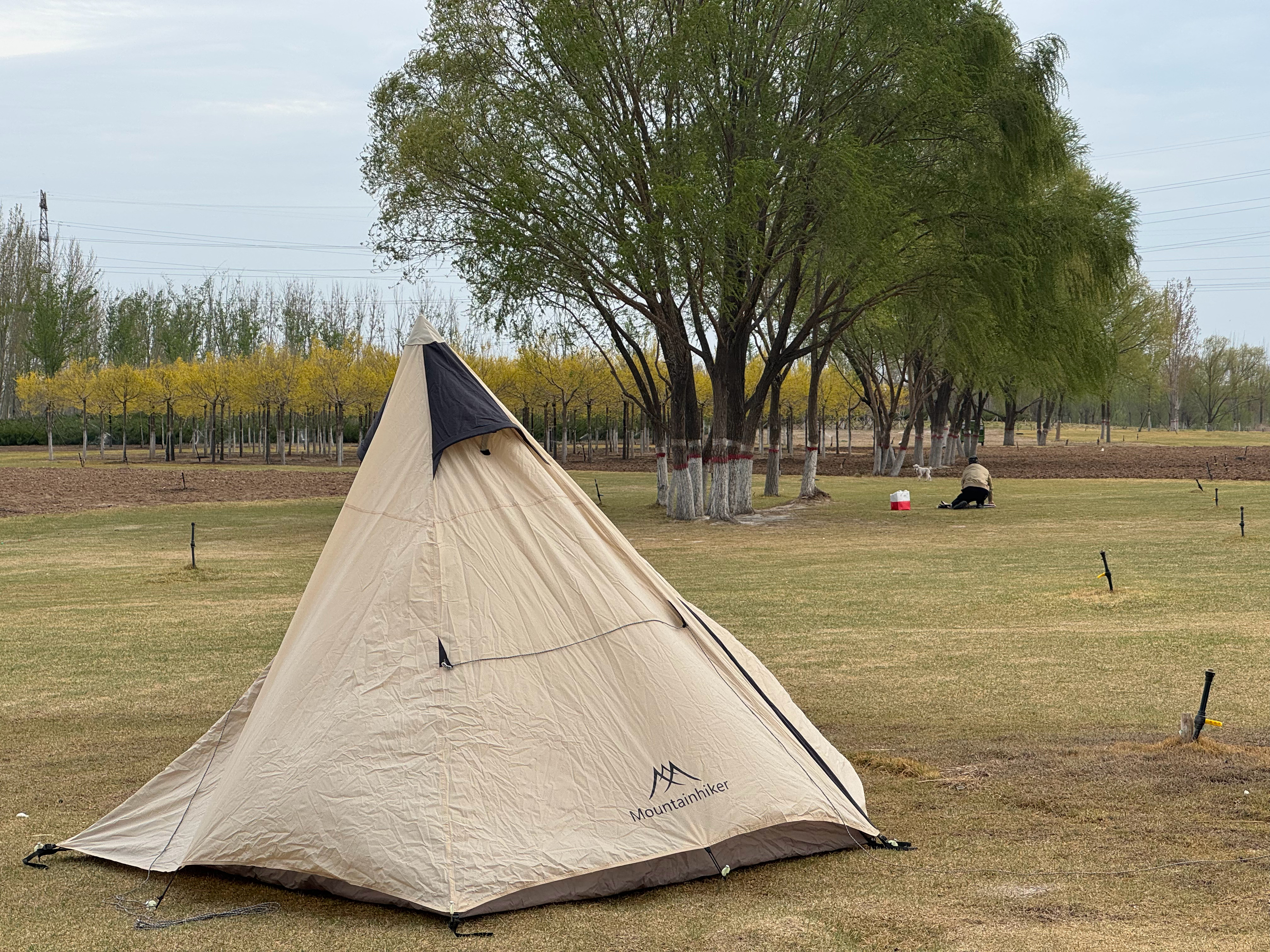 我开始期待露营季了，因为今天买了两个新帐篷露营