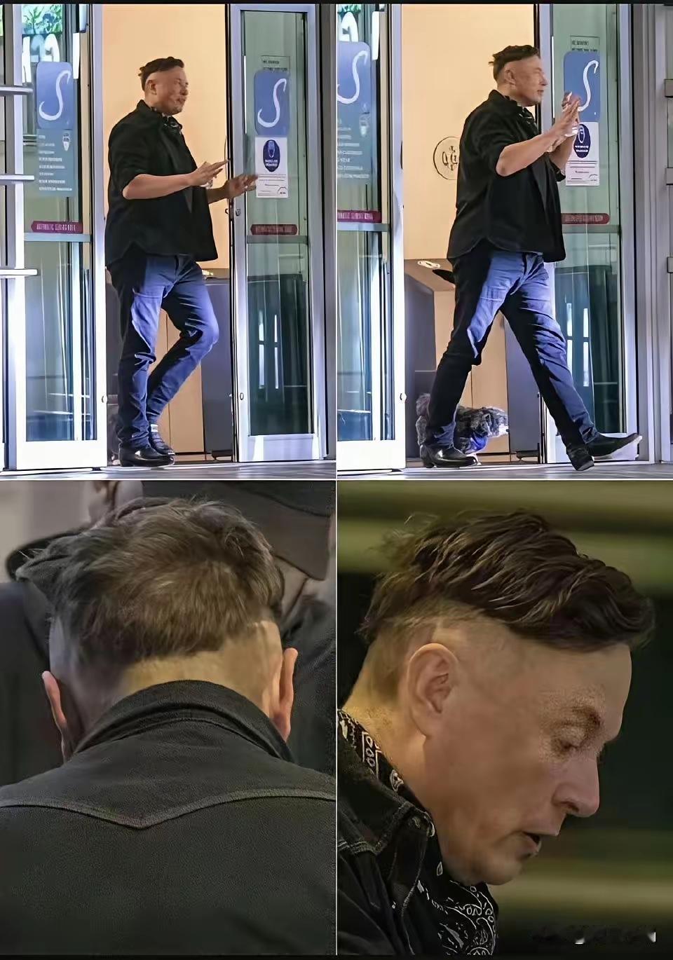 马年老马的头型太有个性了，不得不说真够马的，希望老马马年行大运，马年走马路，马上