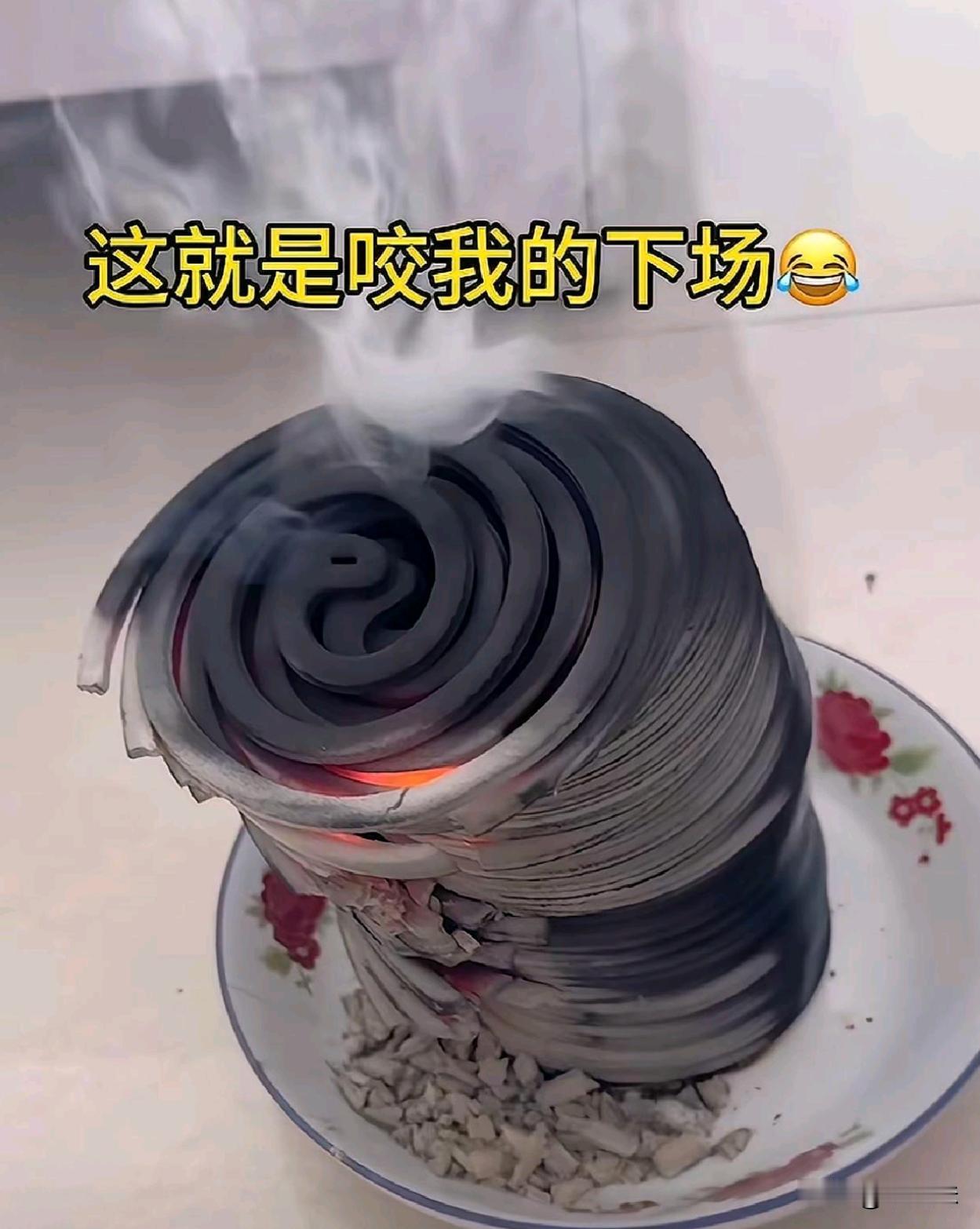 估计是和蚊子同归于尽了