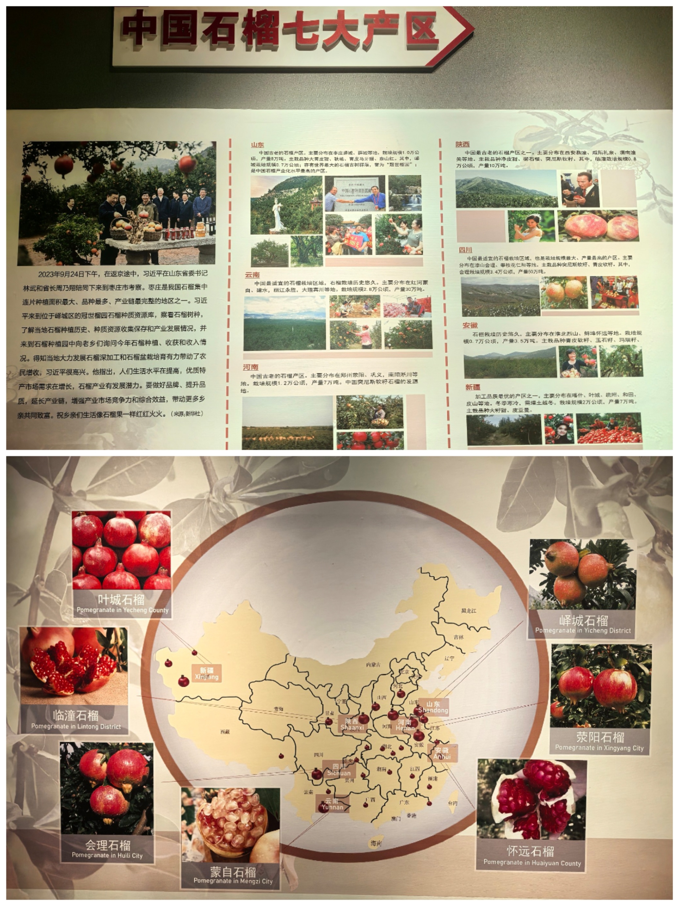打卡枣庄峄城的中华石榴文化博览园，这里是国内第一家石榴主题公园，园区种植有大片的