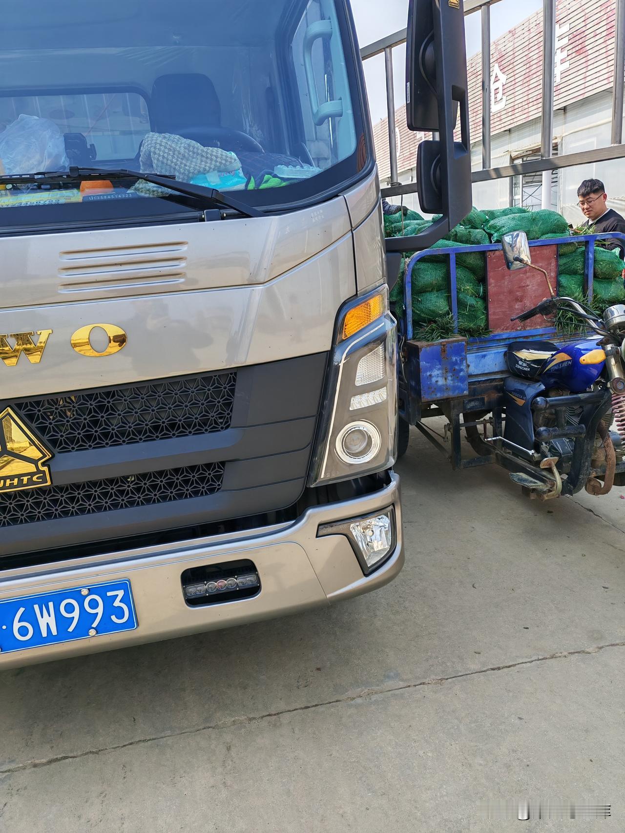 今天下午四点多钟，在我的苗木摊位上工人装车时，我在一旁数多少棵树木已经装上车。