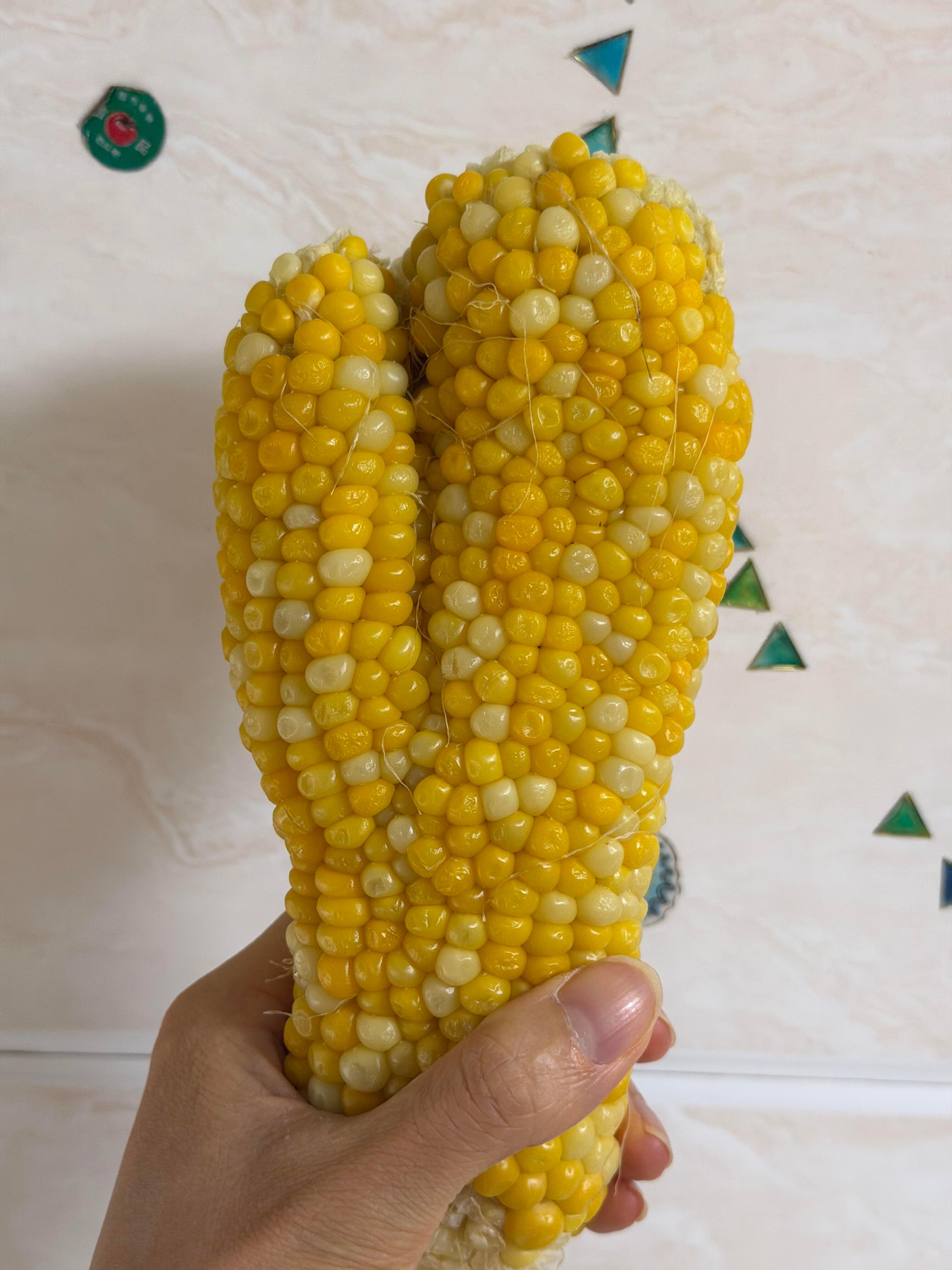 玉米你吃了什么激素 