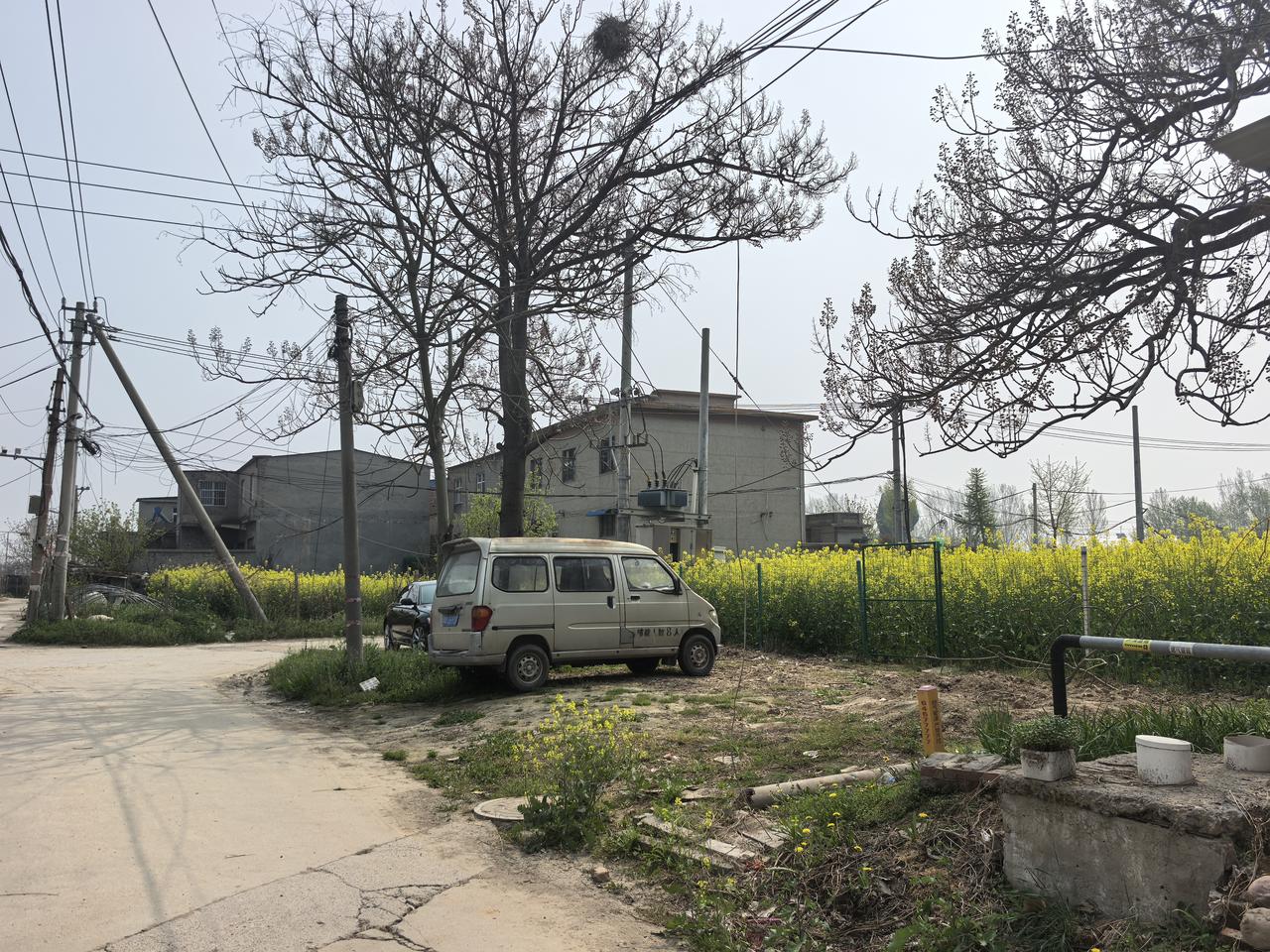 农村的春天是不是比任何地方更有生机！那充满鲜花的窄巷子，那飘香的油菜花，那洁白的