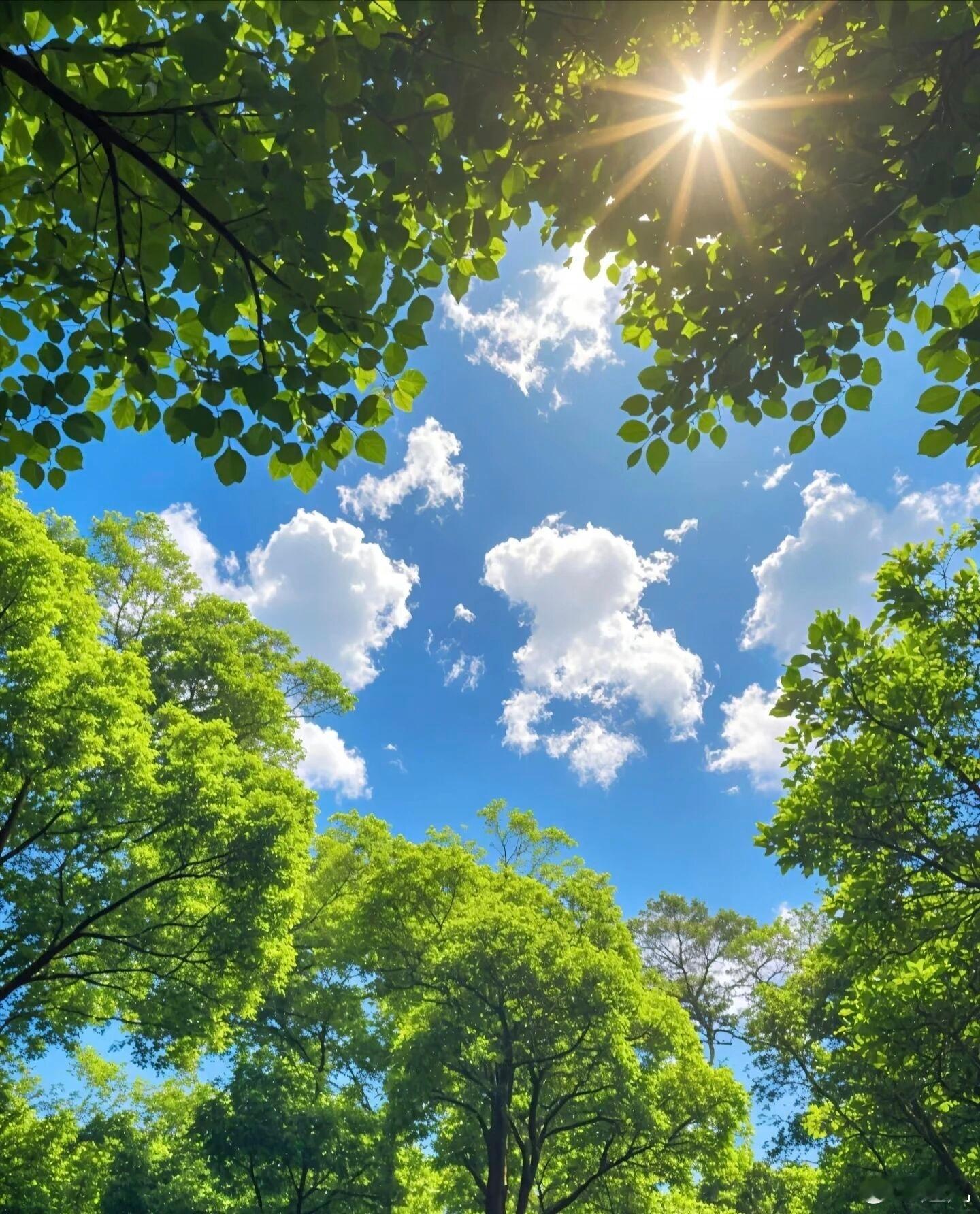 以善待人，以诚律己。文明上网理性表达，多一份包容少一份争执，用心维护社区。阳光信