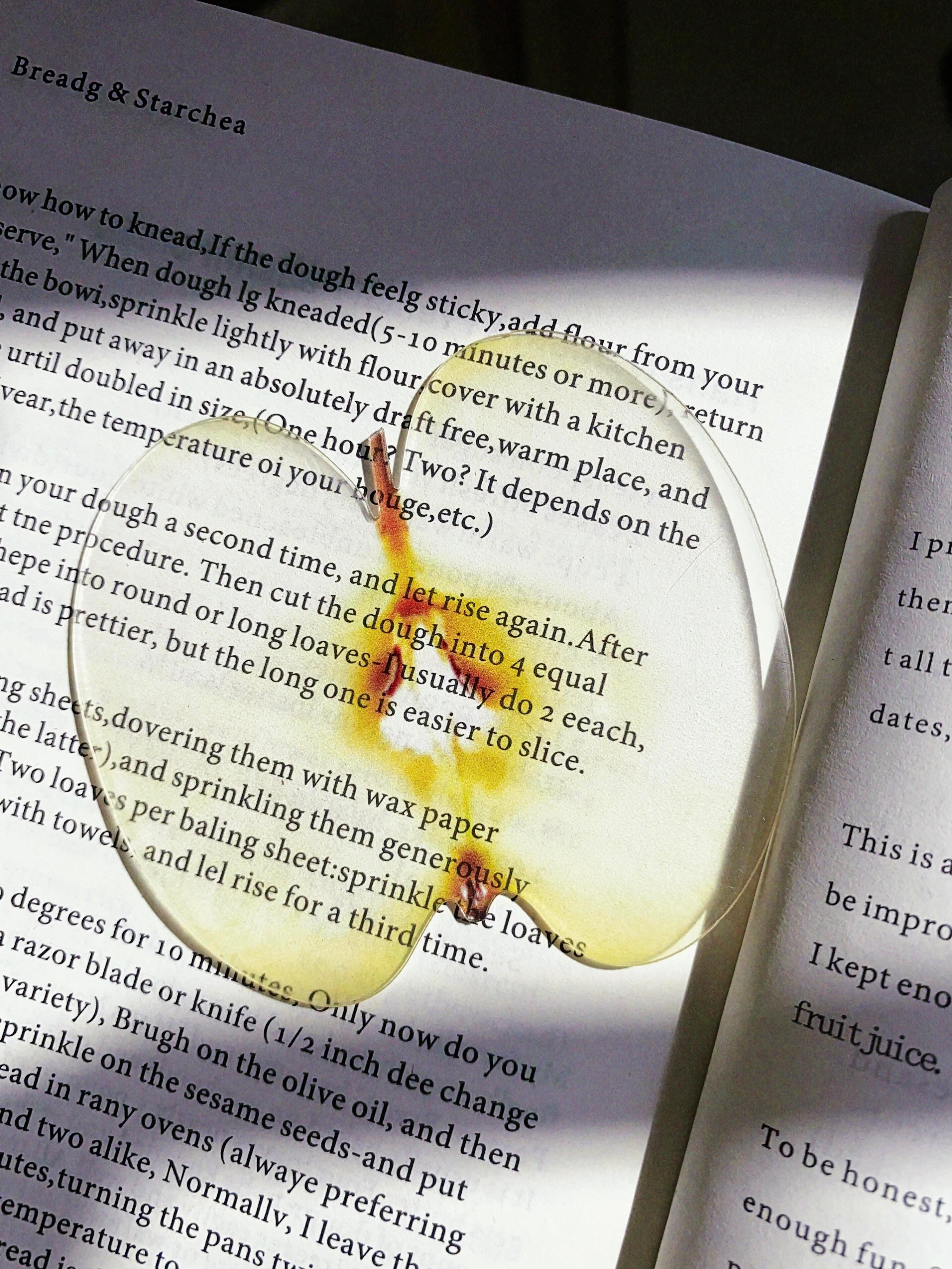 切一片青苹果当书签🍏把青苹果的心事，夹进书页的褶皱里 