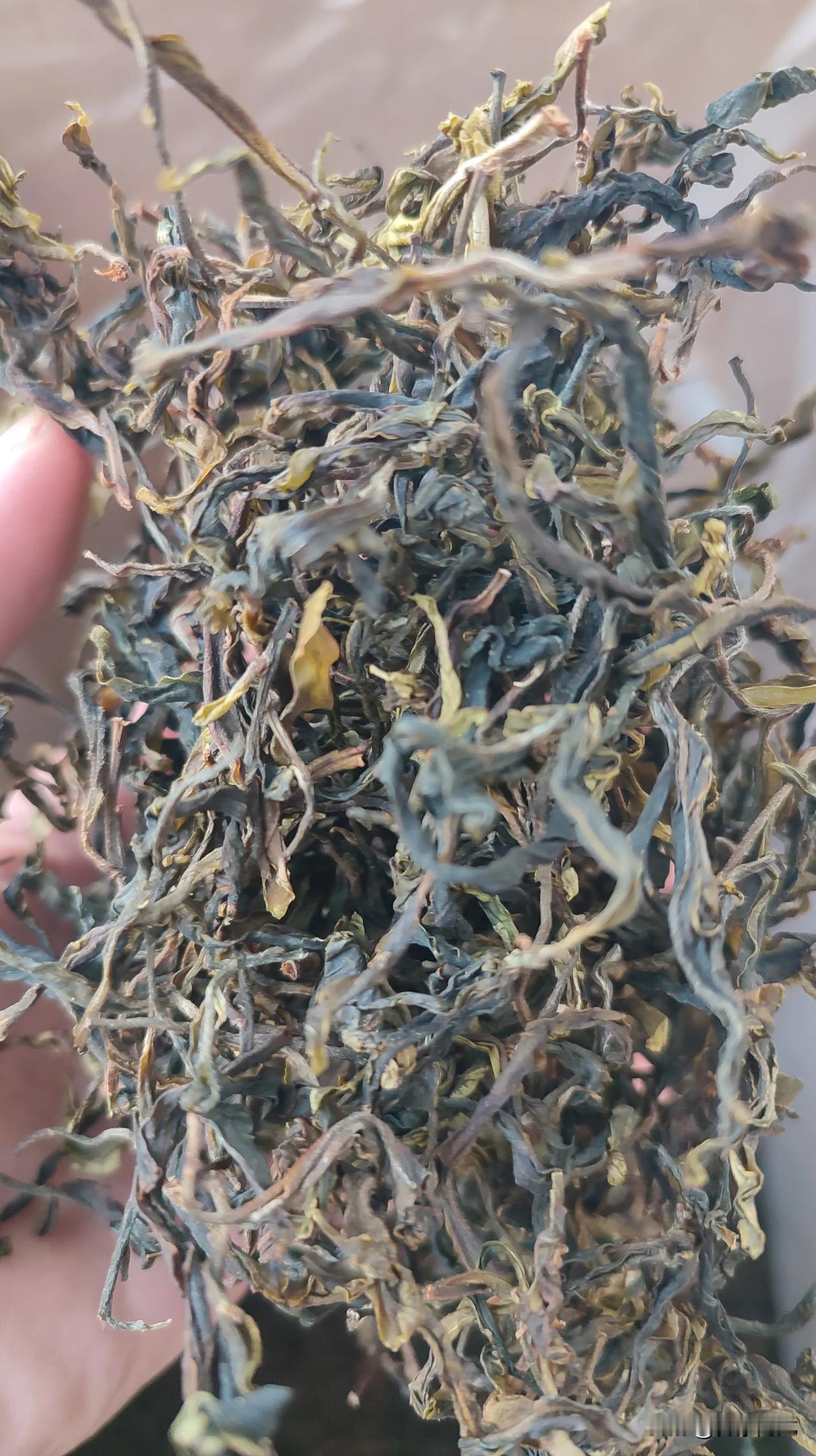 买古树茶,你靠眼睛还是鼻子?看条索用眼睛，闻香气用鼻子，入口靠嘴巴。大家说对吗[