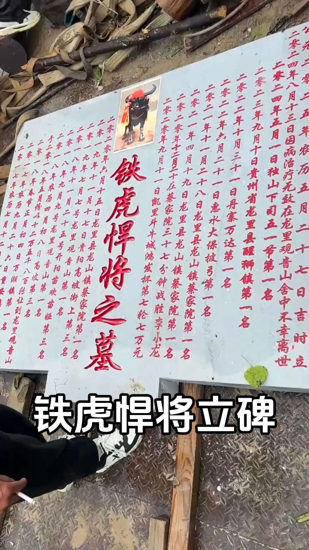 缅怀牛王（铁虎悍将）牛王