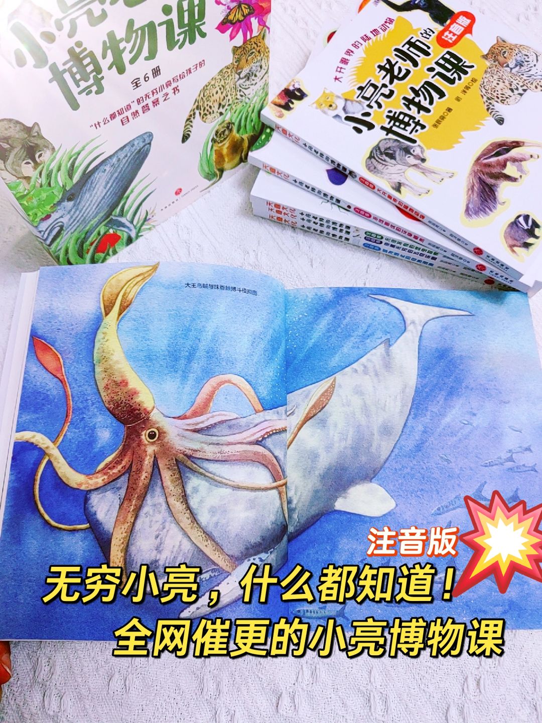 什么都知道！把无穷小亮老师的博物课搬回家