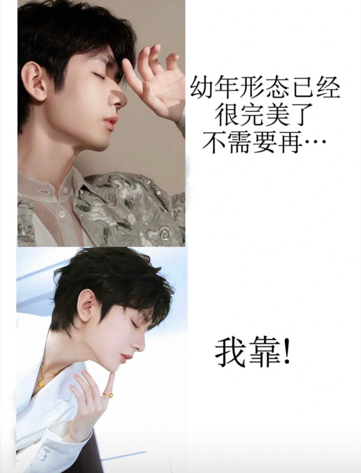 这个系列全肯定